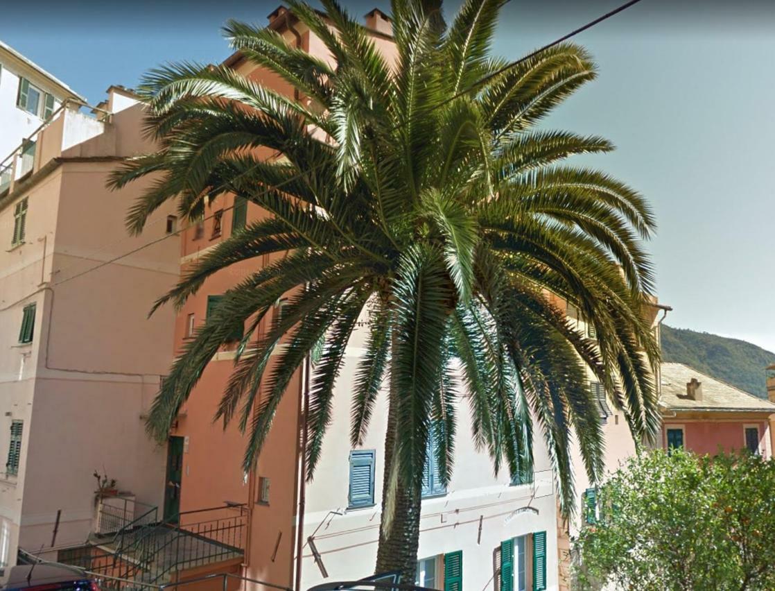 Appartement Embarcadero - Camogli & Gateway To Portofino Extérieur photo